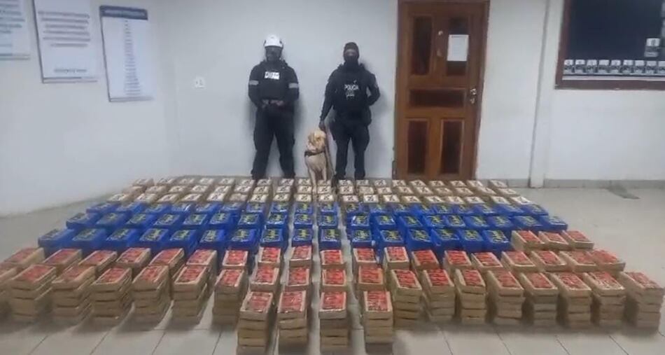 Decomisan 780 paquetes de presunta droga en un contenedor con destino a Bélgica