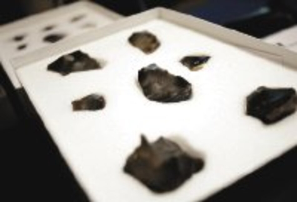 Hallan herramientas primitivas