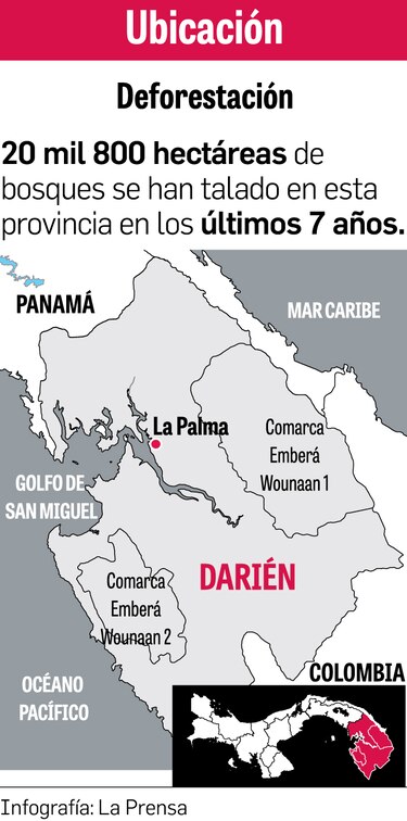 Darién pierde 8.1 hectáreas por día