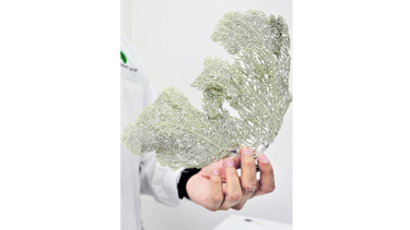 Biodiversidad y riqueza genética de interés para la ciencia y el desarrollo
