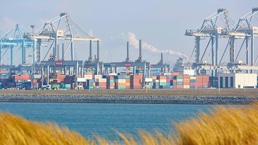 La revolución tecnológica del "food valley": cómo Países Bajos logró ser el tercer exportador mundial de alimentos con un territorio tan pequeño