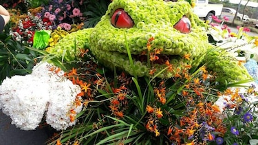 20 mil personas asisten a la segunda Parada de las Flores en Volcán