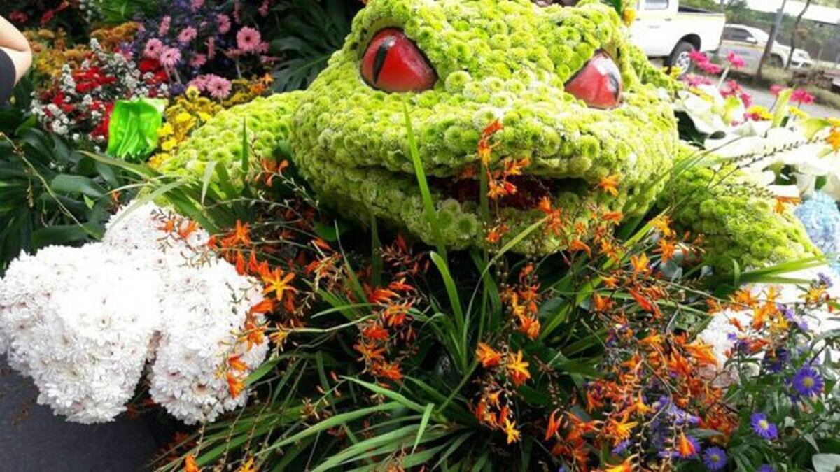 20 mil personas asisten a la segunda Parada de las Flores en Volcán