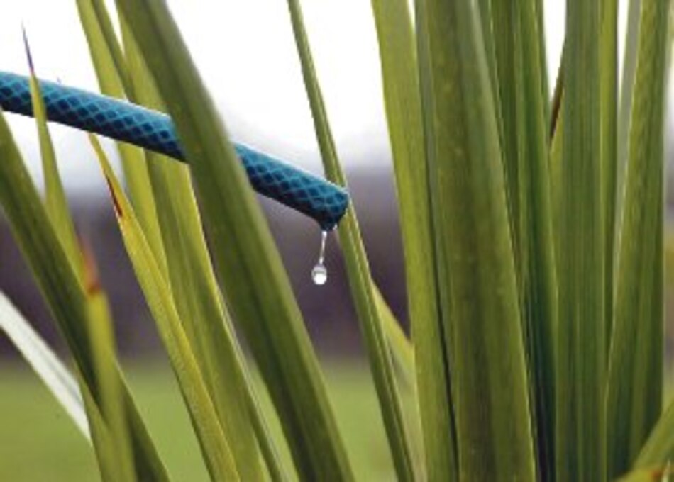 FAO aboga por mejor uso del agua