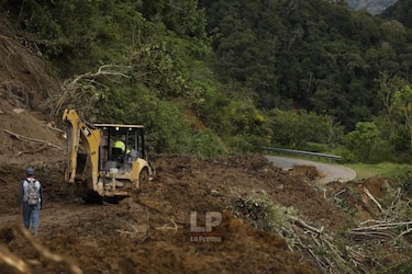 Productores de Renacimiento solicitan apoyo urgente para habilitar caminos y salvar producción
