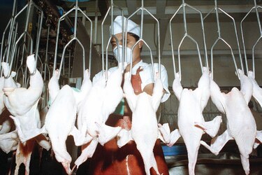 Disminuye consumo de pollo