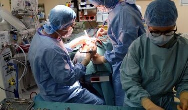 Chilenos realizarán primer trasplante de rostro en América Latina