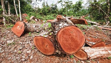 Anati suspende 200 trámites de titulación en Darién