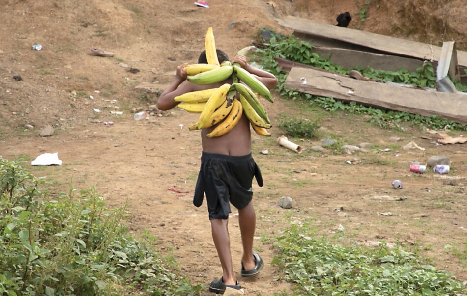 Panamá y la FAO unen fuerzas en contra dela pobreza y el hambre