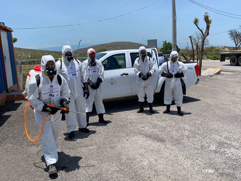 FAO advierte de la grave amenaza que representa la peste porcina africana en la región