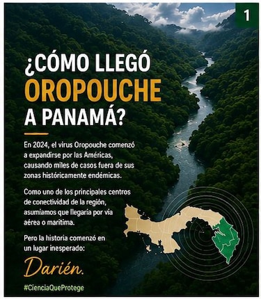 Estudio identifica a Darién como epicentro del virus Oropouche en Centroamérica