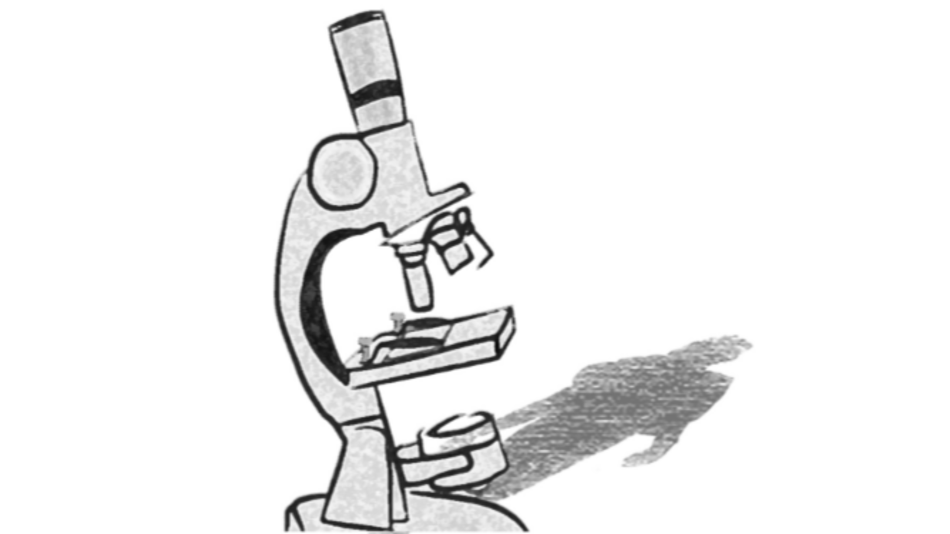 Tú, la sífilis y yo