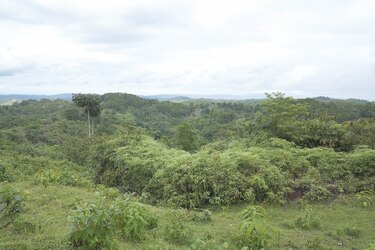 Prediciendo futuros inciertos para paisajes tropicales
