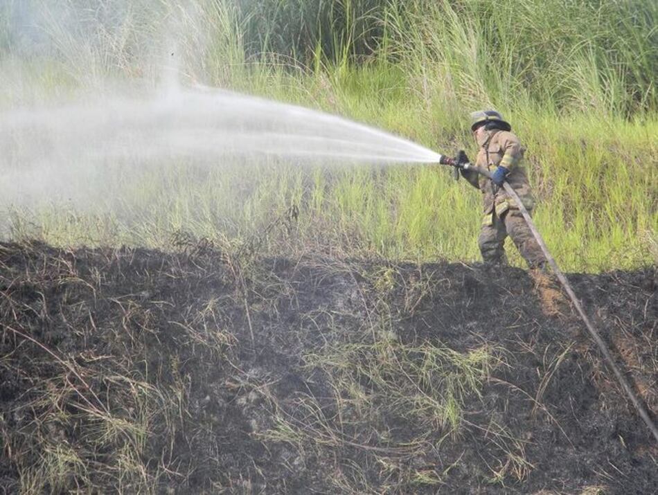 Reportan tres incendios de herbazales en Panamá Oeste