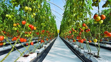 Al compás del agro digital