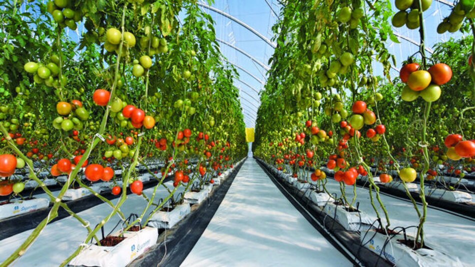 Al compás del agro digital