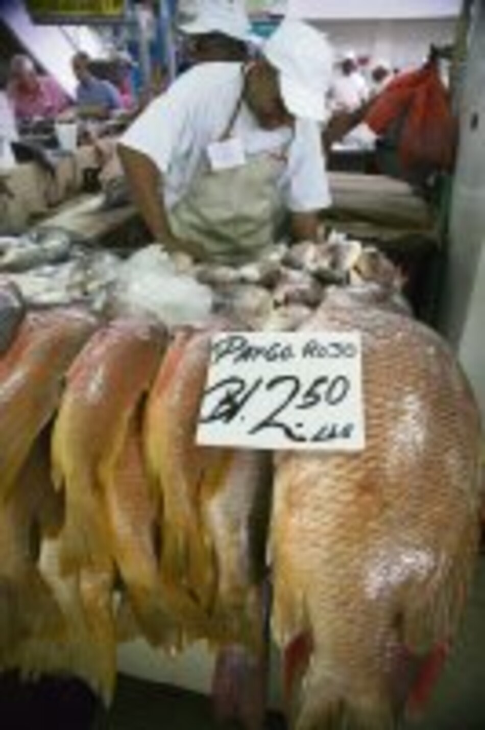 Mariscos, onerosa tradición