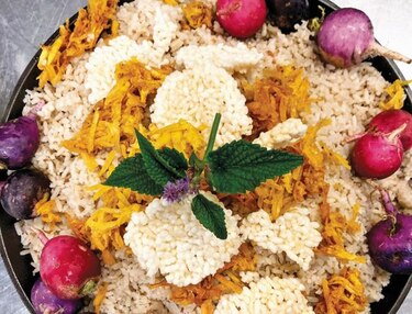 Nuevas metas en la cocina del hogar