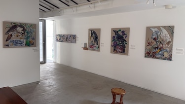 Andrés Silva lleva la biodiversidad panameña hasta Japón a través del arte