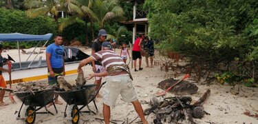 Voluntarios recogen desechos en isla Iguana