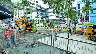 Residentes de Bella Vista, en alerta por tala de árboles
