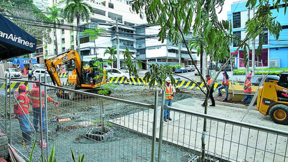 Residentes de Bella Vista, en alerta por tala de árboles