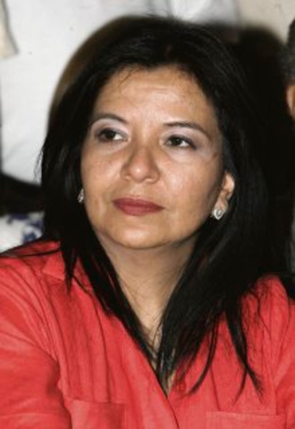 Solicitan directorio extraordinario en el PRD