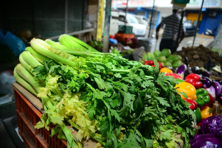 La importancia de la nutrición en los pacientes críticos