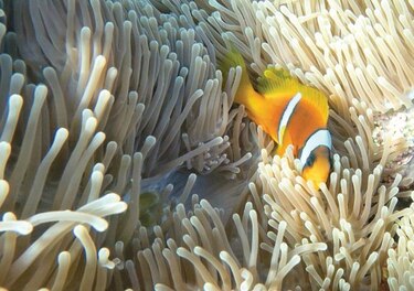 Los efectos de los cambios