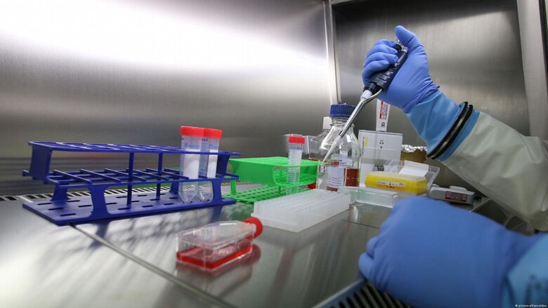 Primera muerte en humanos por gripe aviar A(H5N2): qué es y cuál es el riesgo