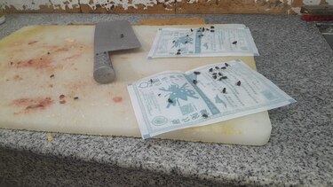 Detectan anomalías sanitarias en establecimientos del sector Santa Marta