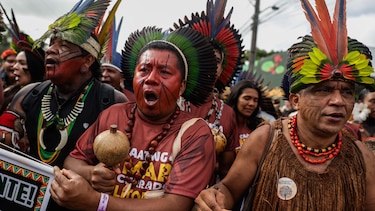 6 buenas noticias para el medio ambiente y la naturaleza en 2025
