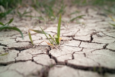 Imhpa advierte sobre El Niño y condiciones secas en varias cuencas de Panamá