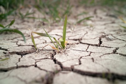 Imhpa advierte sobre El Niño y condiciones secas en varias cuencas de Panamá