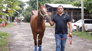 Panamá presenta sus equinos para la Serie
