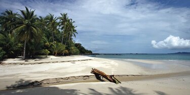 Parque Nacional Coiba: ¿una joya ecológica en peligro?