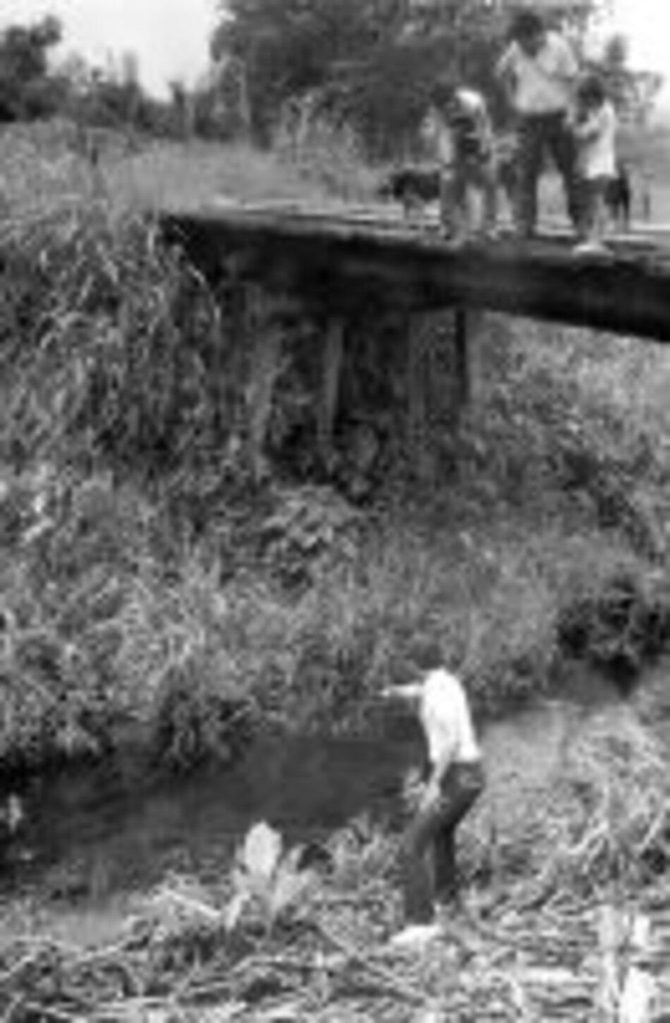 Bajo el puente del río La Vaquita