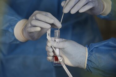 La presencia de la mutación D614G del coronavirus en Panamá se ha duplicado en los últimos meses