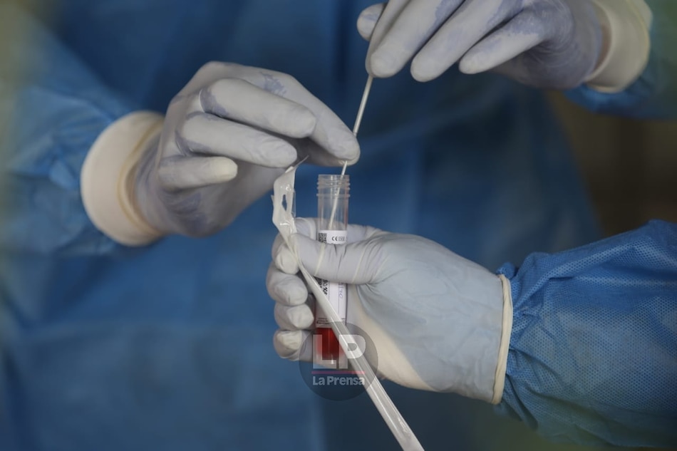 La presencia de la mutación D614G del coronavirus en Panamá se ha duplicado en los últimos meses