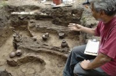 Reveladores hallazgos