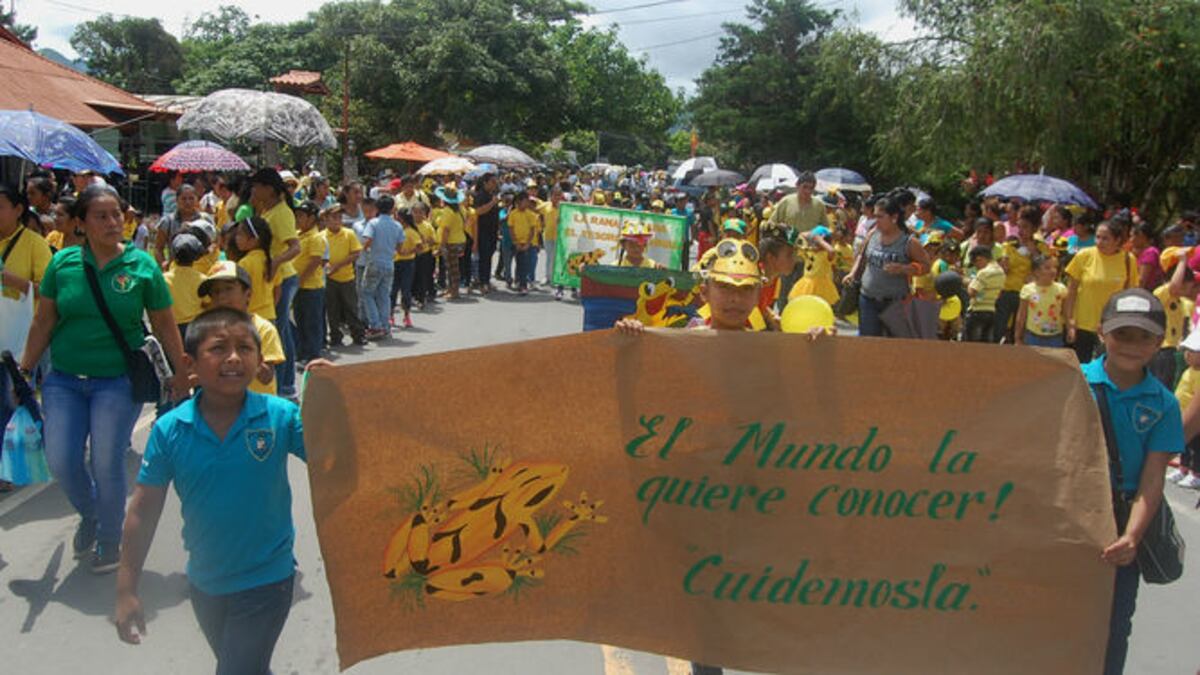 El Valle de Antón: Comunidad respalda festival en honor a la rana dorada