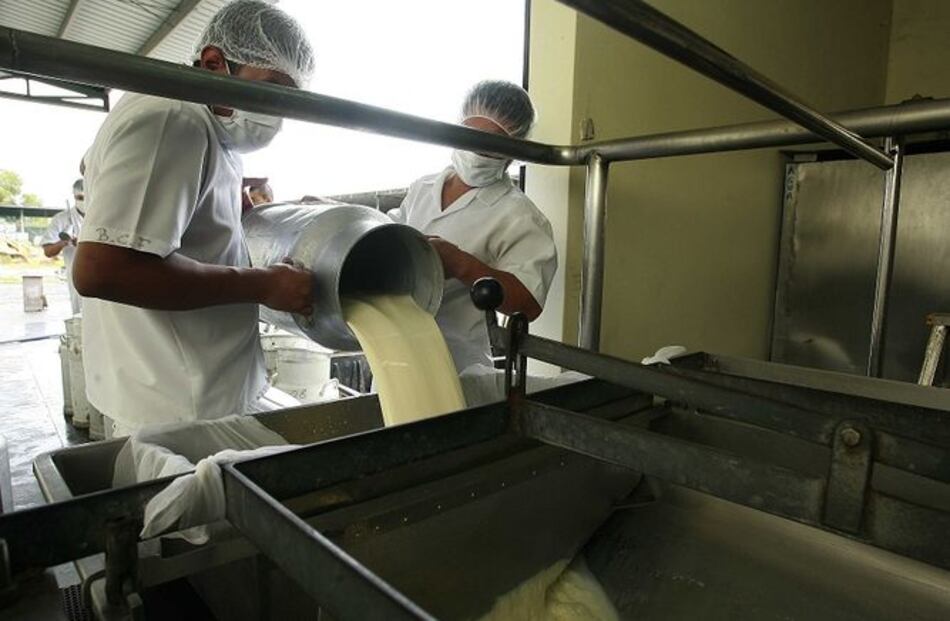 Estado comprará excedente de leche