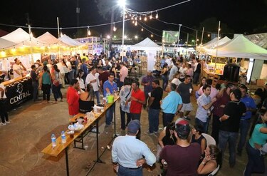 Más de 300 mil personas visitan la Feria Internacional de San José de David