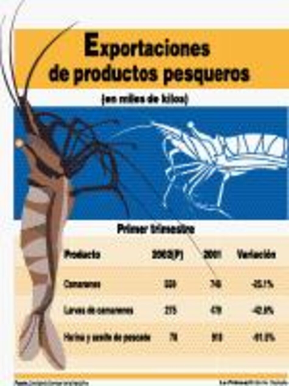 El 'Niño' y los camarones