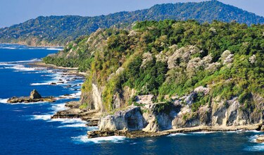 Consejo pide cuentas de Coiba