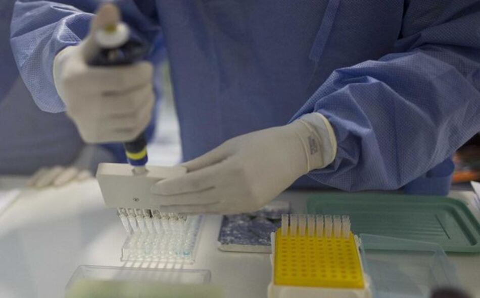 Encuentran vínculo entre Zika y síndrome que da parálisis