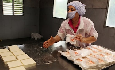 La labor detrás del queso blanco artesanal
