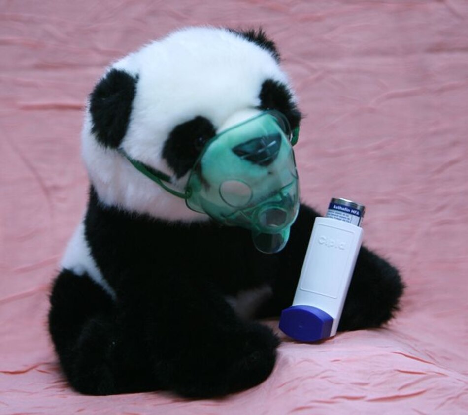 Las bacterias intestinales reducen riesgo de asma en bebés