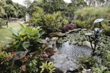 Imágenes Especies amenazadas