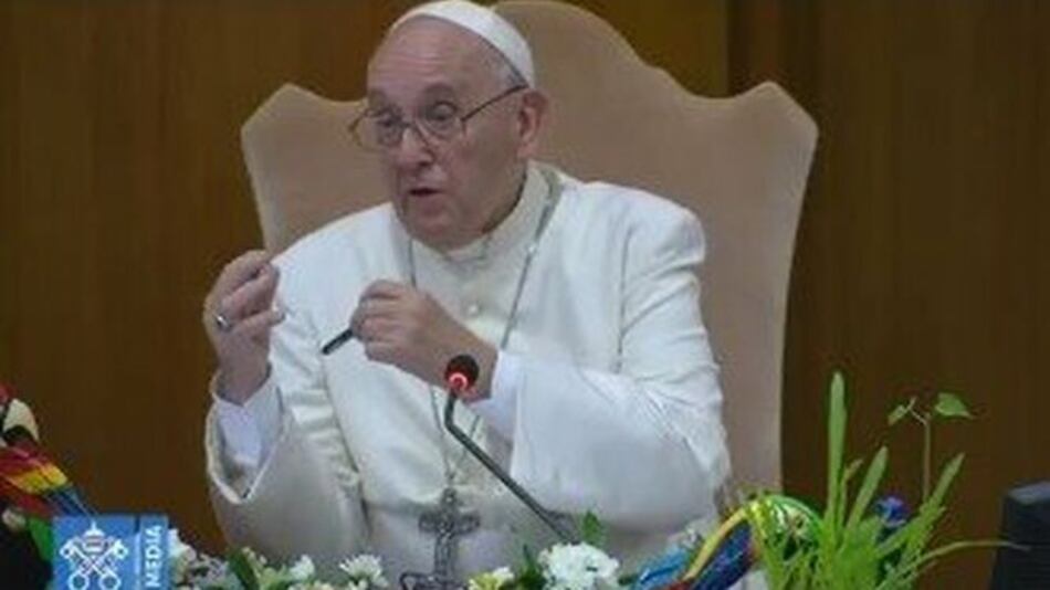 Papa espera elaborar una exhortación sobre la Amazonía antes del fin del año